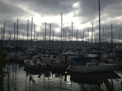 The outdoors, beer, food, music, weather, good times, and great hospitality. Humphreys Concerts By the Bay | San diego, Concert, New york skyline