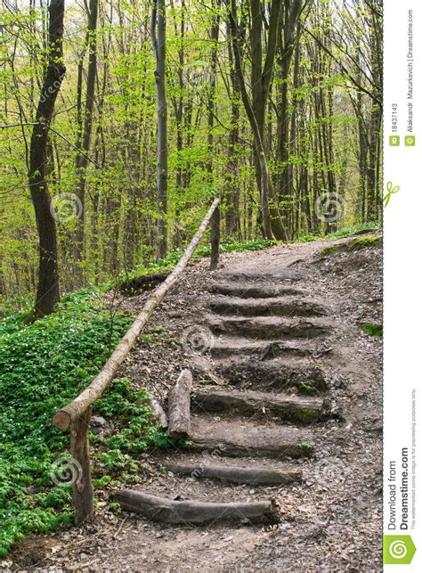 Where a guard is provided, it shall comply with the requirements of the ontario building code; Wooden stairs on a hill stock image. Image of grass, hill - 18437143