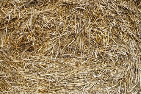 Straw Hay Bale Background Texture Pattern Wallpaper Stock Photo