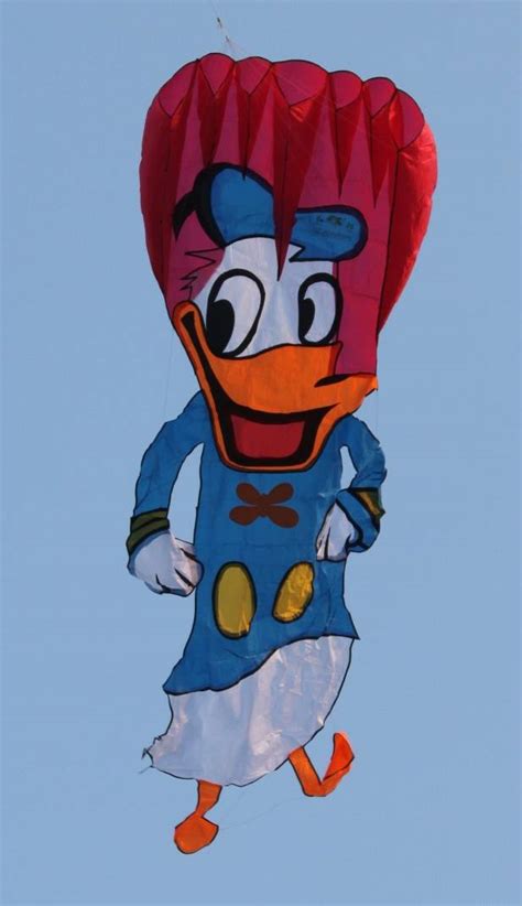 Beginners Fav Cartoons 14m Donald Duck Full Body Soft Kite