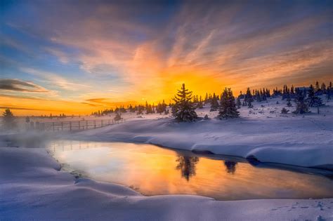 Download Norway Tree Snow Pond Lake Sunset Earth Photography Winter Hd