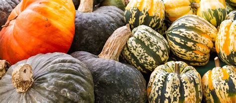 The Most Common Types Of Winter Squash And How They Taste