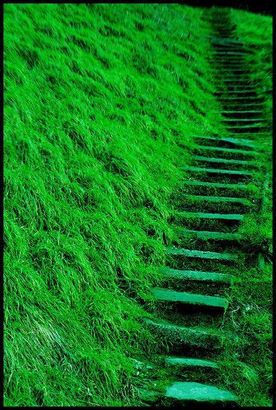 Great Pathwayஜ۩۞۩ஜ ♥♥ Green Aesthetic Green Colors Shades Of Green