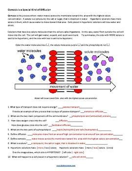 Animal cell coloring key ii. Cell Membrane and Transport Coloring (KEY) | Cell membrane, Teaching, Transportation