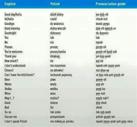 Basic Polish Words Learn Polish Polish Words Polish Language