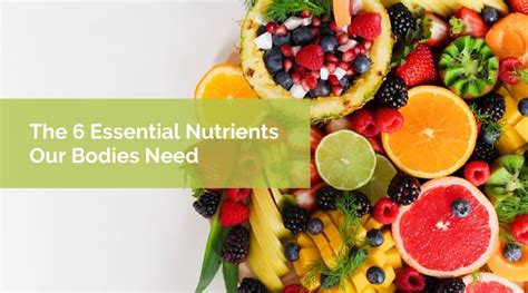 The 6 Essential Nutrients Our Bodies Need Well Wisdom