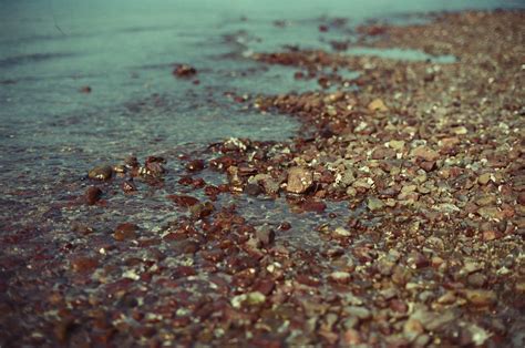 Free Images Sea Water Nature Sand Rock Texture Leaf Crop Soil