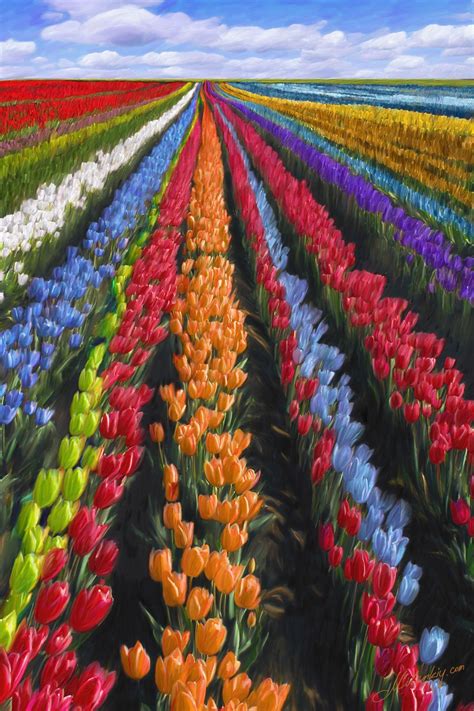 Campo De Flores Holanda - Get Images