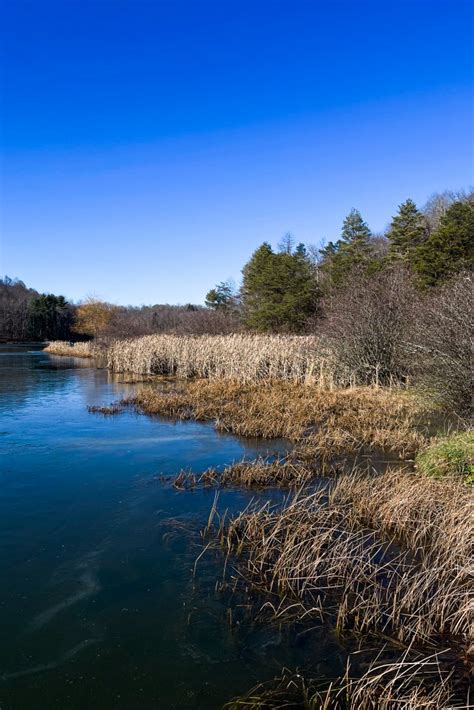 Big Ditch Lake And Wildlife Management Area Webster County Tourism