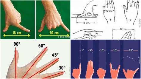 What is 5ft 1 in centimeters? Measure Everything Only With Your Hands - Engineering Feed