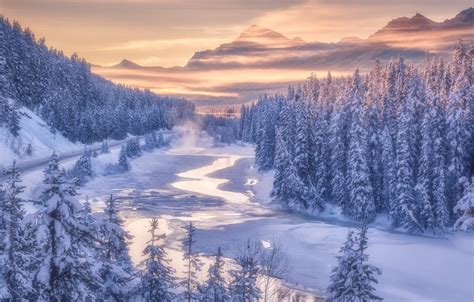 Wallpaper Winter Forest Mountains River Canada Albert Banff