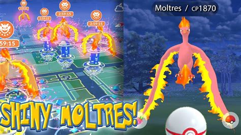 Top 5 Tips For Shiny Moltres Day Max Stardust And Xp Raids In Pokemon