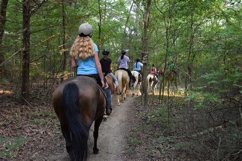 Raintree Equestrian Center Summer Horse Camp Horse Camp In Olive