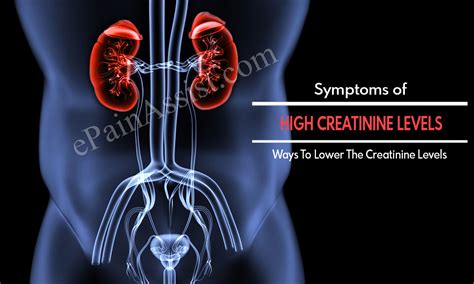 Symptoms Of High Creatinine Levels And Ways To Lower The Creatinine Levels