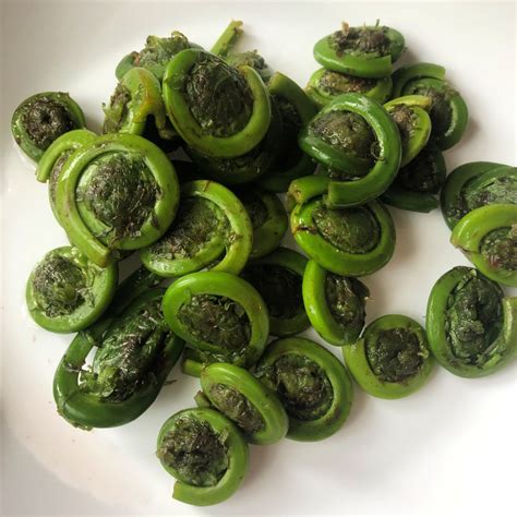 Fiddleheads Sautéed With Butter And Lemon A Nation Of Moms