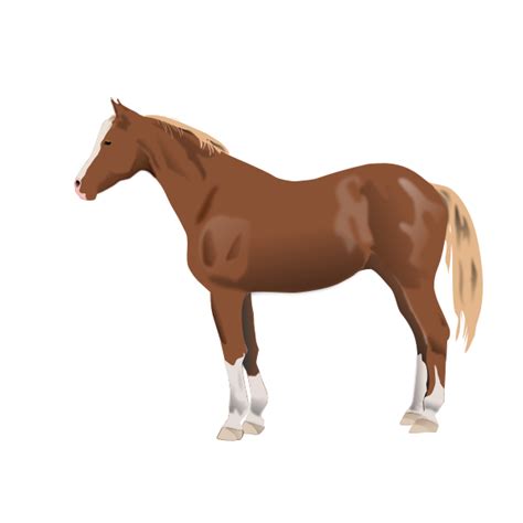 Standing Horse Svg