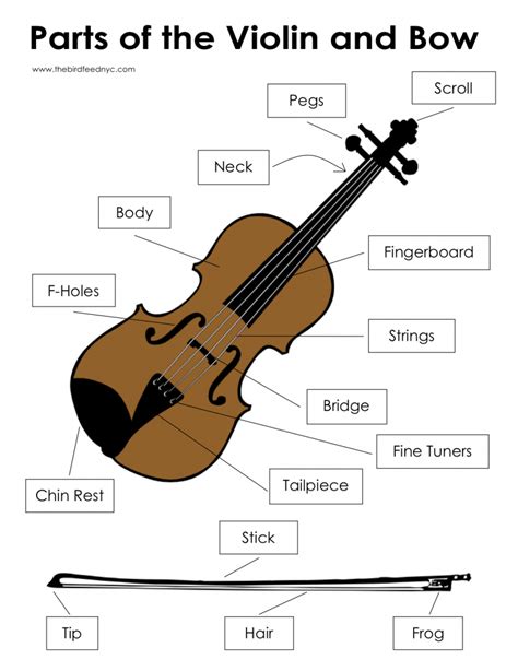 You can set your browser to block or alert you about these cookies, but some parts of the site will not then work. Music Activity Sheets: Parts of the Violin and Bow | Violin, Music activities, Teaching orchestra