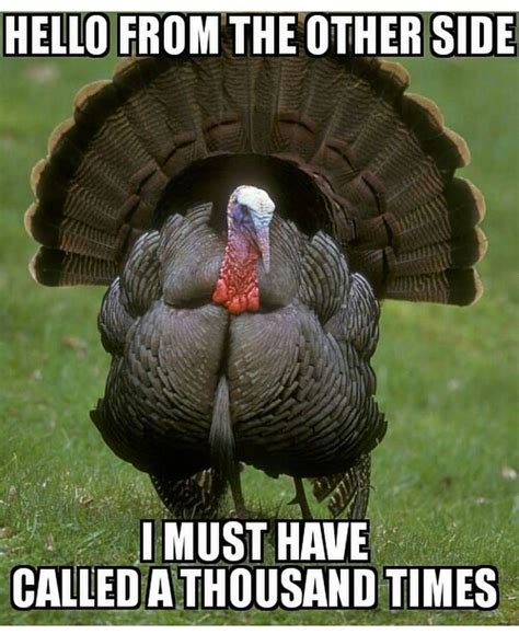 √ turkey hunting funny meme alumn photograph