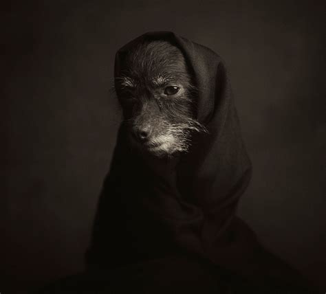 Expressive Animal Portraits Reveal Their Strong ‘human
