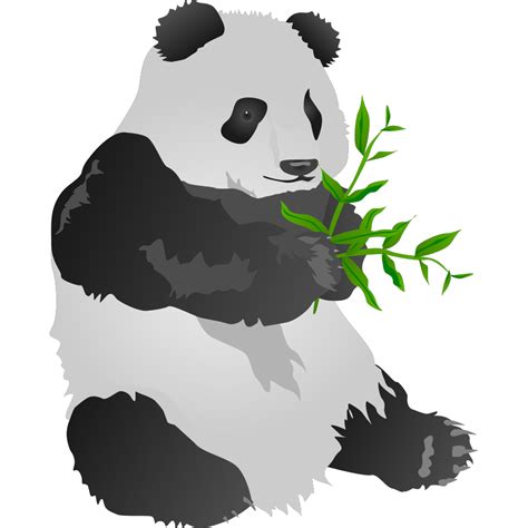 Panda Bear Png Svg Clip Art For Web Download Clip Art Png Icon Arts