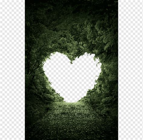 Heart Nature Valentines Day Love Love Heart Shape Cutout Trees Leaf