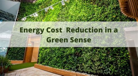 Four Benefits Of Green Walls That Will Change Your Work Environment For