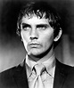 TERENCE STAMP | Terence stamp, Celebrity photography, Movie stars