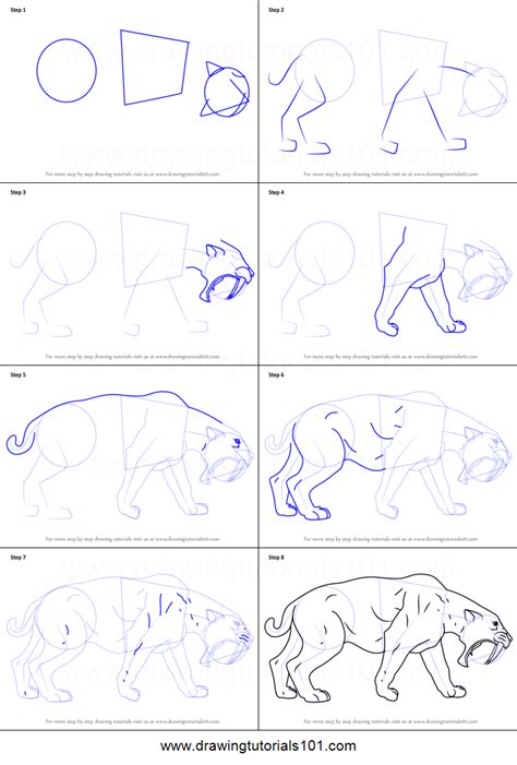 Sabre cat teeth are dropped by sabre cats, who will always drop either a tooth or an eye of sabre cat, in addition to a sabre cat pelt. How to Draw a Saber-toothed cat printable step by step ...