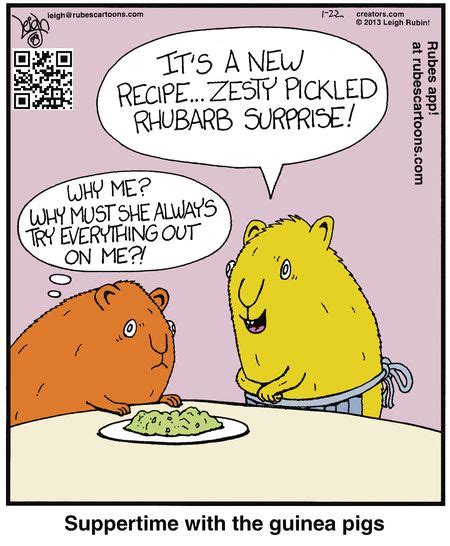 Guinea Pigs Cartoons Pinterest