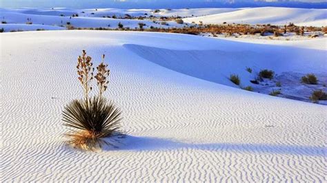 Mail2day Beautiful White Sand Dunes In New Mexico 18 Pics