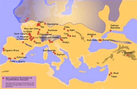 10 Things You Probably Didnt Know About Prehistoric Europe