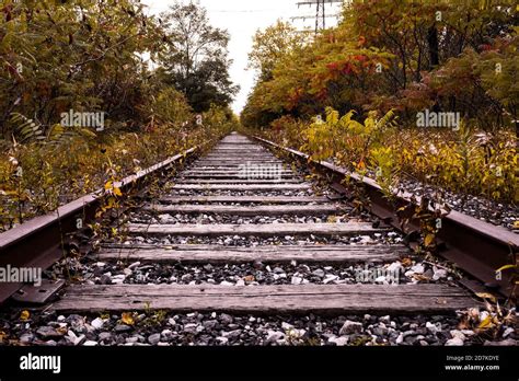 Autumn Train Tracks Stock Photo Alamy