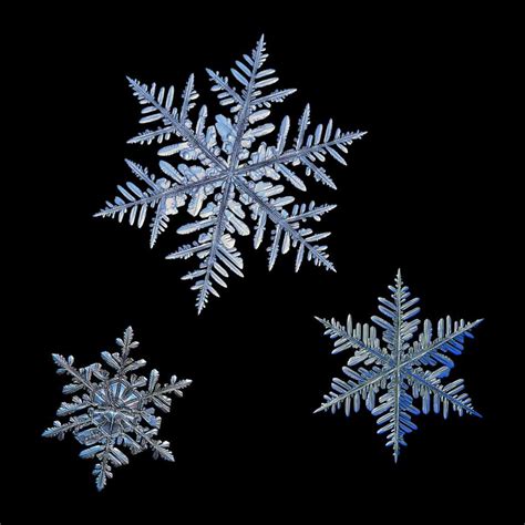 Macro Photos Of Snowflakes Show Impossibly Perfect Designs