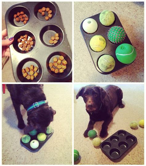 We Love This Simple Diy Dog Boredom Buster It Will Keep Any Dog
