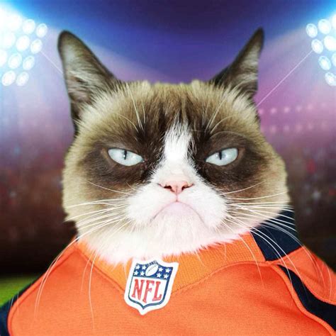 Grumpy Cat On The Super Bowl This Game Is Awful Grumpy Cat®