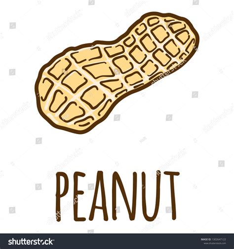 Peanut Shell Icon Hand Drawn Illustration Stock Vector Royalty Free