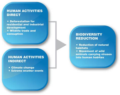 Impact Of Direct And Indirect Human Activities On Biodiversity And