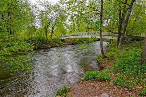 Pedestrian Wooden Bridge Over Stream Stock Photo Image Of Forest