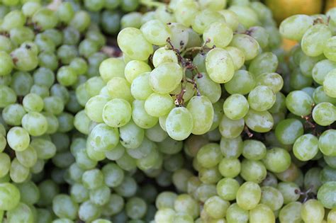 White Wine Grapes In A Market Photober Free Photos Free Images For All