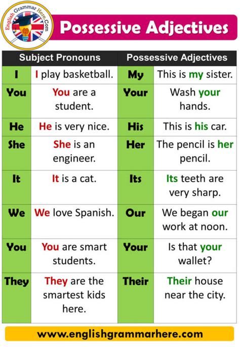 Possessive Adjectives And Possessive Pronouns Definition And Example