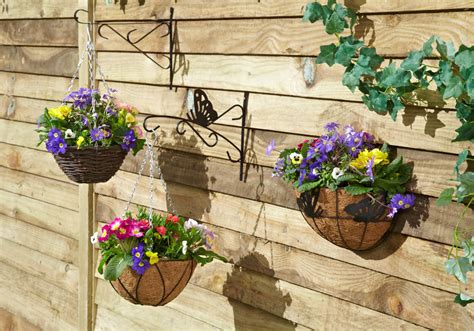 Hanging Baskets Add Colour To Your Garden Tips From David Domoney