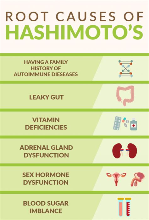 How To Heal Your Gut To Manage Hashimoto S Dr Lori Kalie Artofit
