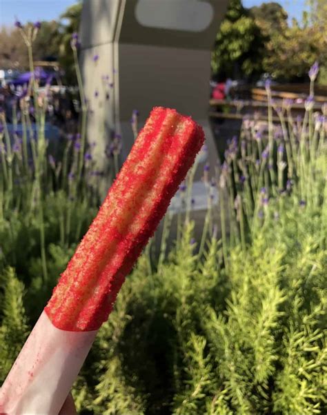 Review Strawberry Lemon And Donut Churros Arrive At The Disneyland