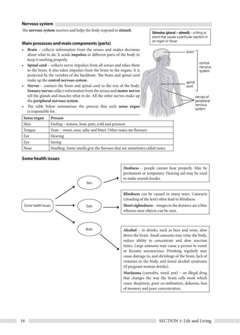 ¥ superior illustrations and activities to improve results and motivate learners. Ace it! Study Guides Natural Sciences 9781920356491