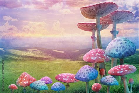 Fantastic Wonderland Landscape With Mushrooms Illustration To The