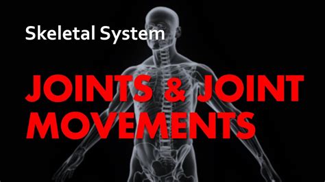 Joints And Joint Movements Skeletal System 05 Anatomy And Physiology
