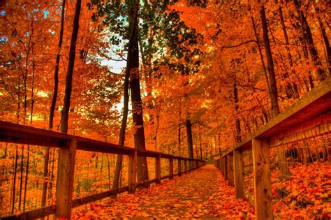 Fall Colors Wallpapers Top Free Fall Colors Backgrounds