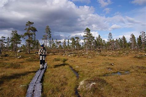 Andererseits ist das gepäck umfangreicher als im sommer und eine wintertour in abgelegenen gebieten erfordert ausreichend erfahrung. Der südliche Kungsleden - Schweden: Der Königsweg ...