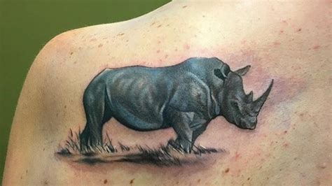 Rhino Tattoo Ideas As A Symbol Of Endurance Agility And