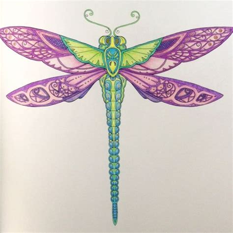 Johanna Basford Colouring Gallery Dragonfly Artwork Johanna
